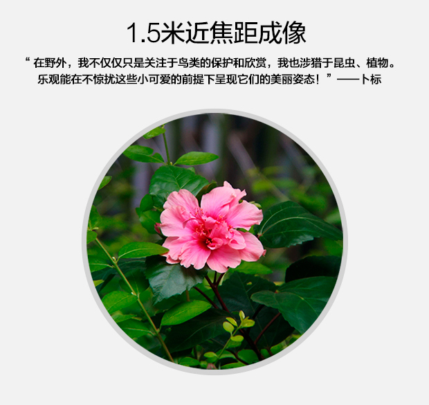 產(chǎn)品描述-樂觀Ⅱ--620_11