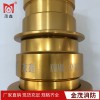 鋁鎂合金異徑接口消防快速接頭506580雌雄轉(zhuǎn)換變徑卡扣接頭