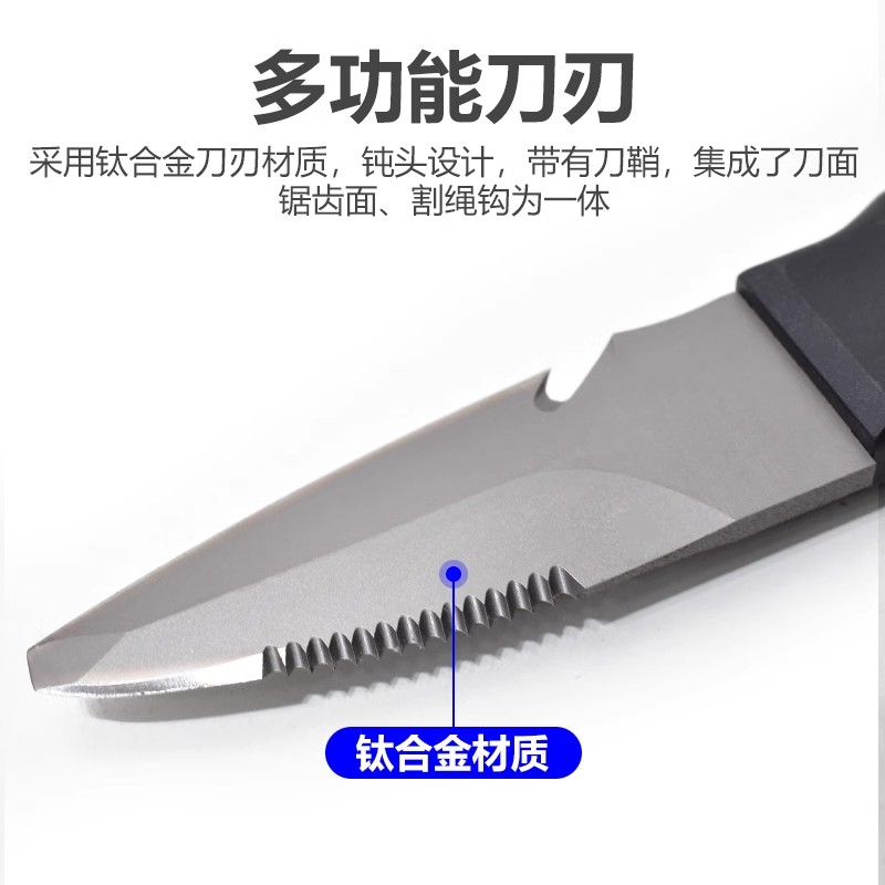 O1CN010wUAMn1hFdFR3gFnH_!!1782064248